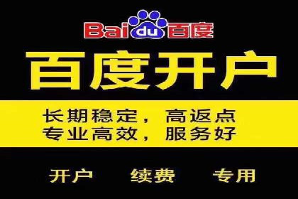 百度搜索推广案例解析：效果显著的成功案例